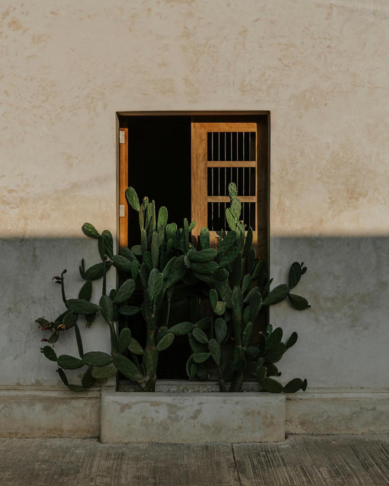 Casona Los Cedros Espita Extérieur photo